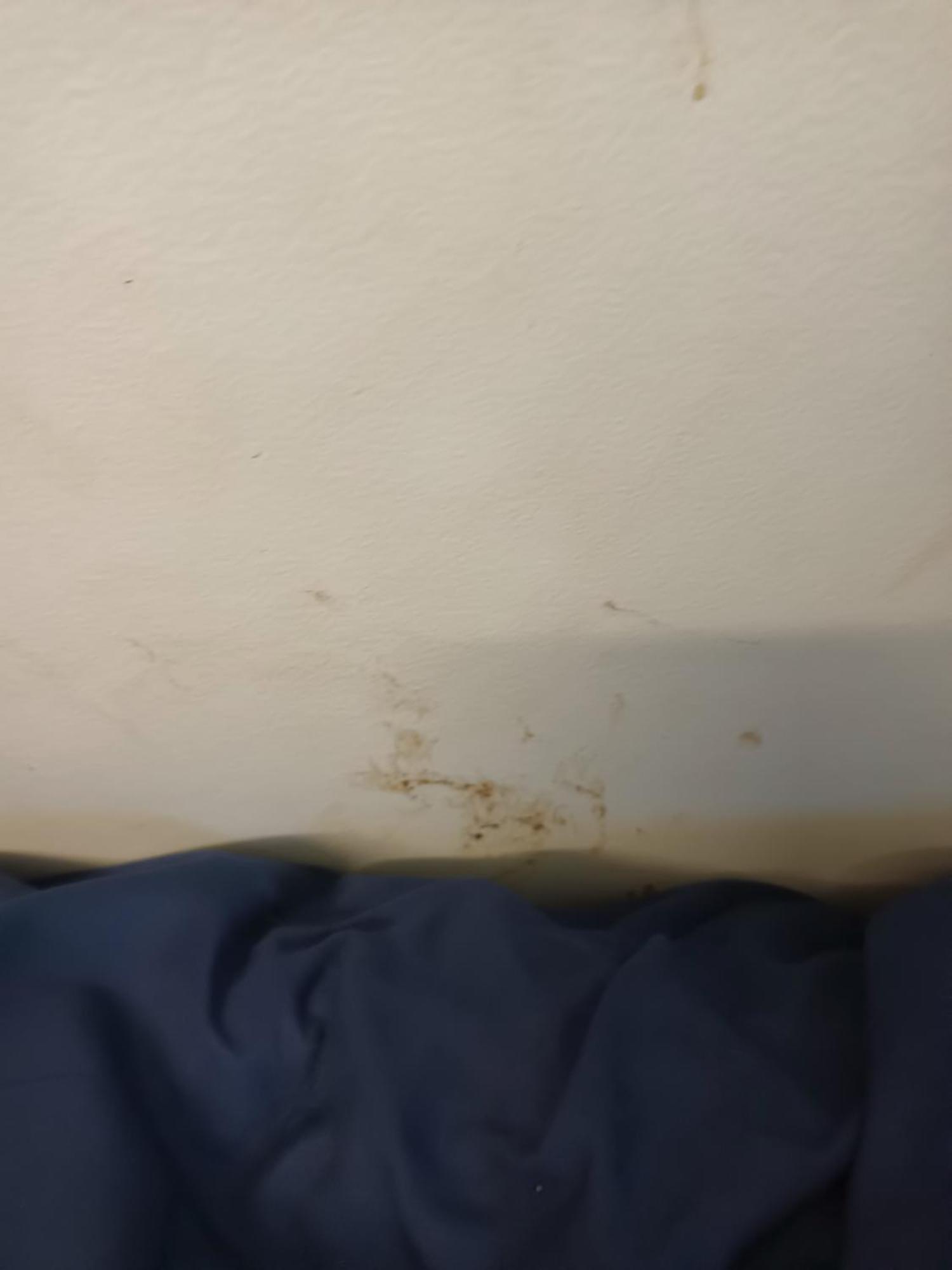 Single Room In Wollongong Near Uni Keiraville ห้อง รูปภาพ