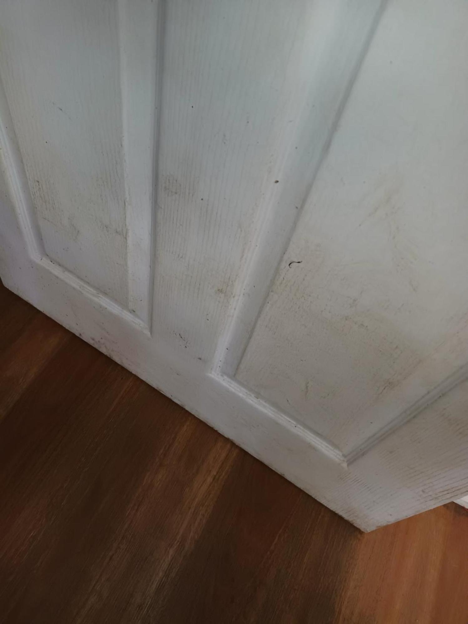 Single Room In Wollongong Near Uni Keiraville ห้อง รูปภาพ