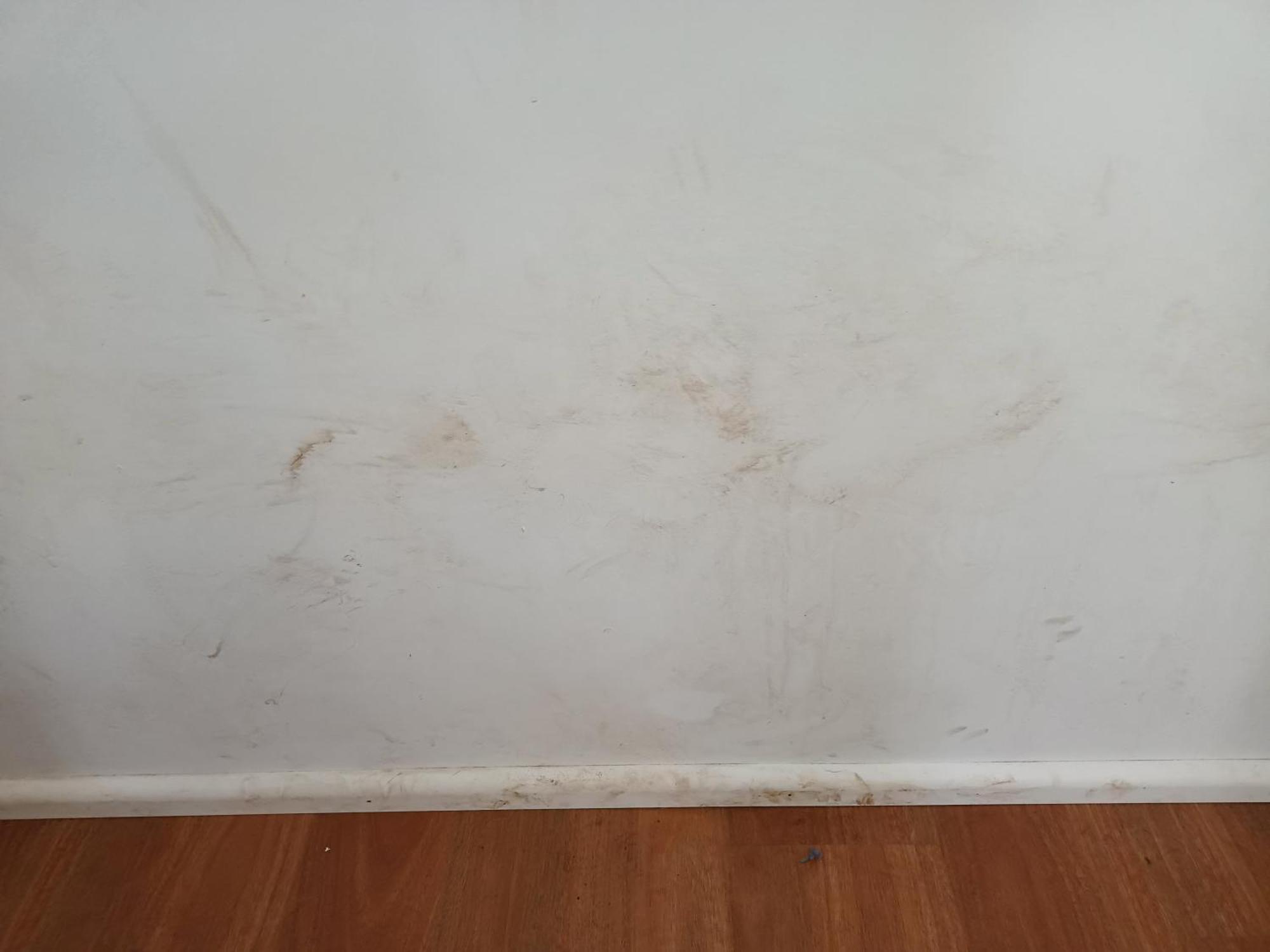 Single Room In Wollongong Near Uni Keiraville ห้อง รูปภาพ